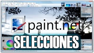 PaintNet  Tutorial  Parte 2  Herramientas de seleccion [upl. by Yddet248]