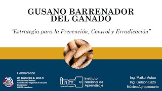 🟥🟥 GUSANO BARRENADOR del ganado🟥🟥 [upl. by Seleta]