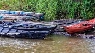 Maica Lake Nature Cruise  Santarem Amazonia Brazil [upl. by Porta975]