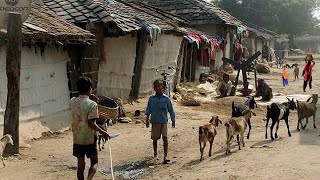 Rural Life India  How Do Poor People Live In The Village  Village Life UP [upl. by Enael302]