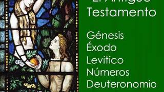 Los libros de la Biblia en resumen [upl. by Uahsoj480]