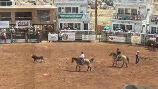 75th Annual Navajo Nation Fair Open Rodeo Championship Sunday Full Event [upl. by Procter]