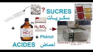 Identification visuelle des sucres glucides par réactions chimiques [upl. by Nallac578]