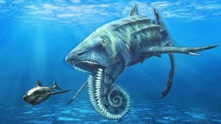 10 STRANGEST Prehistoric Sharks That Ever Lived [upl. by Furr]