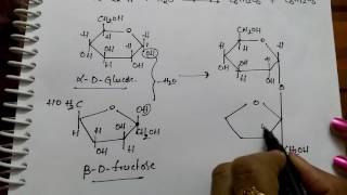 Disachharides Sucrose Maltose and Lactose Chemistry [upl. by Anehc708]