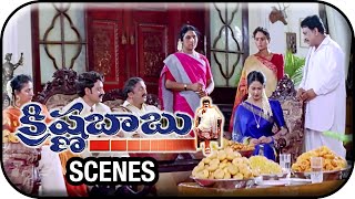 Krishna Babu Telugu Movie Scenes  Balakrishna Arranging Marriage Looks To Raasi  Meena [upl. by Earvin]