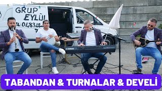 Grup Eylül  Tabandan amp Turnalar amp Develi [upl. by Hunter]