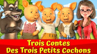 Trois Petits Cochons Et Le Grand Méchant Loup 🔴🐷🐺I Trois Contes [upl. by Tabib]