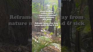 Forest Bathing  Nature Therapy  Ecopsychology natureshorts mentalhealth psychologyfacts peace [upl. by Ecargyram]