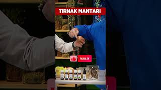 Tırnak Mantarı Nasıl Geçer ❓🖐🦶 ibrahimsaraçoğlu faydatv şifalıbitkiler tırnakmantarı [upl. by Eidnak375]