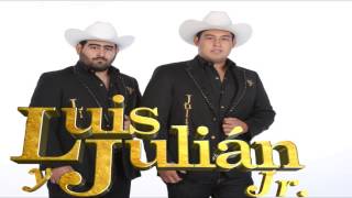 Anda Borracho el Pelao Luis y Julián Jr en Vivo [upl. by Macur]