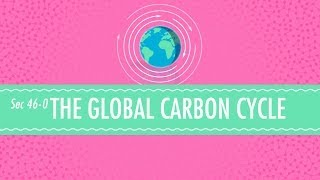 The Global Carbon Cycle Crash Course Chemistry 46 [upl. by Patty]