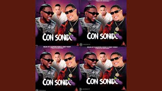 BULIN 47 X CEKY VICINY CON SONIDO DOBLE TONO PARA MUSICOLOGOS [upl. by Hoffert]