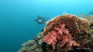 Scuba Diving at Cabilao Island Bohol  Gopro underwater videos [upl. by Elttil]