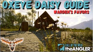 Wardens Favors Oxeye Daisy Guide [upl. by Trebmal]