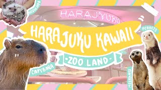 UNIQUE animal cafe in Harajuku  HARAJUKU KAWAII ZOO LAND  Real life CAPYBARA and MEERKAT 🦔 [upl. by Aivan]