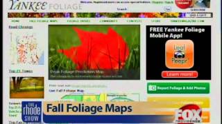 Fall Foliage Maps and Apps [upl. by Nnylhsa]