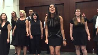 UCLA LawCappella  Lawyers Royals Parody [upl. by Megdal917]