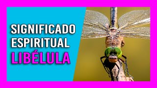 «【 Libélulas】» Significado Espiritual  Soñar con Libélulas 🧙 [upl. by Ffej]