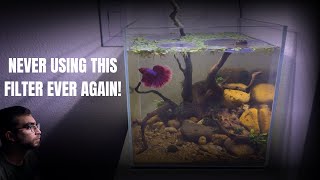 3 Reasons I Went Filterless on my Beta Aquarium  Oase FiltoSmart 60 Review [upl. by Anaiv]