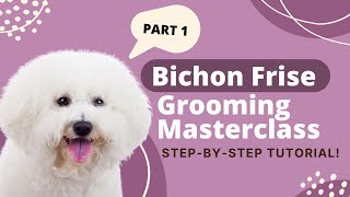 How to Groom a Bichon Frise  Bichon Frise Grooming Tutorial Part 1 [upl. by Acinet]