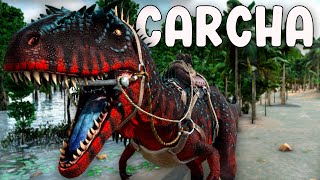 COMO TAMEAR CARCHARODONTOSAURIO y TODAS SUS HABILIDADES PC PS y XBOX  ARK [upl. by Mccarty308]