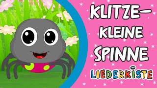 Klitzekleine Spinne  Kinderlieder zum Mitsingen  Liederkiste [upl. by Lemrac]