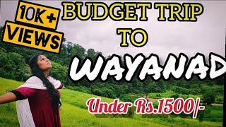 Budget Trip to Wayanadவயநாட்டுக்கு பட்ஜெட் பயணம்Under Rs1500Travel blogபயண வலைப்பதிவு Tamil [upl. by Gardel378]