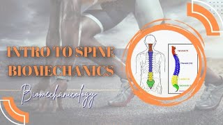 Intro to vertebral column spine  Biomechanics [upl. by Abshier352]