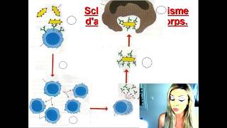 Révision Brevet SVT Système Immunitaire  Partie quotRisque infectieux et protection de lorganismequot [upl. by Parcel742]