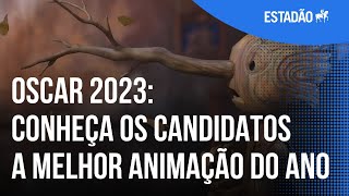 Personagens carismáticos trazem intensas reflexões sobre a vida no Oscar de animação [upl. by Weinrich]