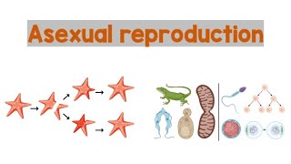 Asexual Reproduction  Biology Animation [upl. by Herod]