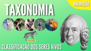 TAXONOMIA  CLASSIFICAÇÃO DOS SERES VIVOS  Animação [upl. by Arutak]