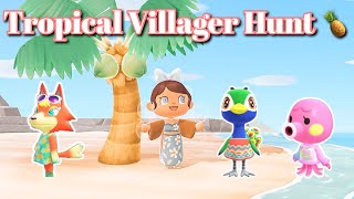 Tropical Villager Hunt 🍍  Animal Crossing New Horizons [upl. by Stanfill956]