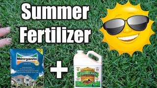 Best Summer Fertilizer for Lawns [upl. by Meta]