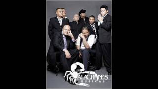 ALACRANES MUSICAL NUEVAS CANCIONES 2010 [upl. by Nino289]