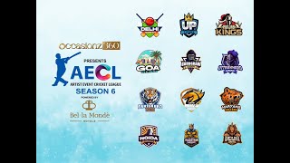 Artist Event Cricket League 2024  Season 6  Mega Final  Live [upl. by Holmun]