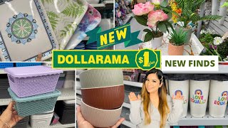 Dollarama Dollar Store Canada Finds For Home Kitchen Pantry organizers Dinnerware Decor dollarama [upl. by Ariait495]