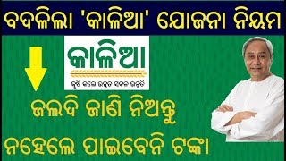 ବଦଳିଲା କାଳିଆ ଯୋଜନା ନିୟମ  Kalia yojana guideline changed in Odia  KALIA YOJANA NEWS [upl. by Trebor752]