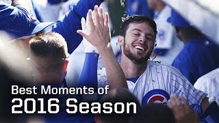 MLB Chicago Cubs Best Moments of 2016 Regular Season  Season Highlights [upl. by Luane903]