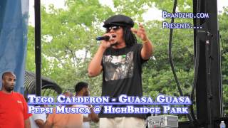 Tego Calderon guasa  highbridge park pepsi musica [upl. by Berhley]