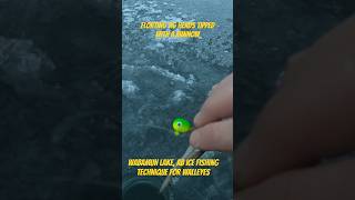 Ice fishing Wabamun Lake 2024  Floating Jig Heads for Walleye northlandtackle [upl. by Yntirb]