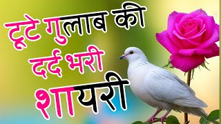 😭टूटे गुलाब की दर्द भारी शायरी  Tute Gulab Ki Dard Bhari Shayari [upl. by Harod]