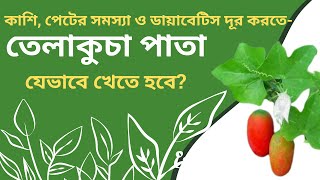 তেলাকুচা পাতার উপকারিতা  তেলাকুচো ProfessorDrAltafSarker [upl. by Esyli471]