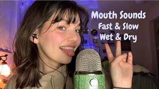 ASMR  Upclose Fast and Slow Mouth Sounds Wet and Dry and Hand Movements  Pure Mouth Sounds [upl. by Eellek]