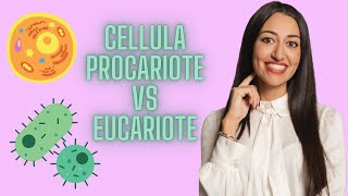 CELLULA PROCARIOTE VS EUCARIOTE DIFFERENZE  VIDEO RIASSUNTIVO [upl. by Lleneg]