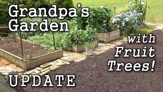 Raised Beds amp Edible Landscape Grandpas Garden Year 2 Fruit Trees [upl. by Elirpa]