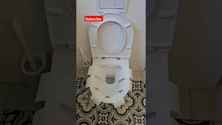 Laufen toilet flushtoiletflush [upl. by Gnuhn686]