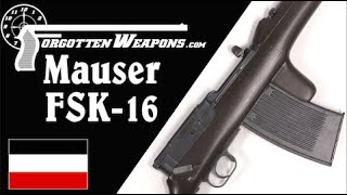 Mauser WW1 Flyers Rifle the Flieger Selbstlader Karabiner 1916 [upl. by Lednahc]