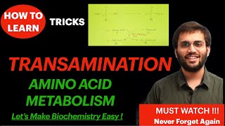 Transamination Biochemistry Amino Acid Metabolism Video Concepts  How to remember easily [upl. by Heida456]